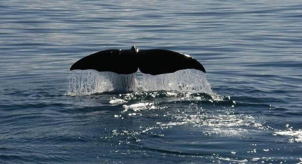Das Haus auf dem Felsen in Sydney, New South Wales