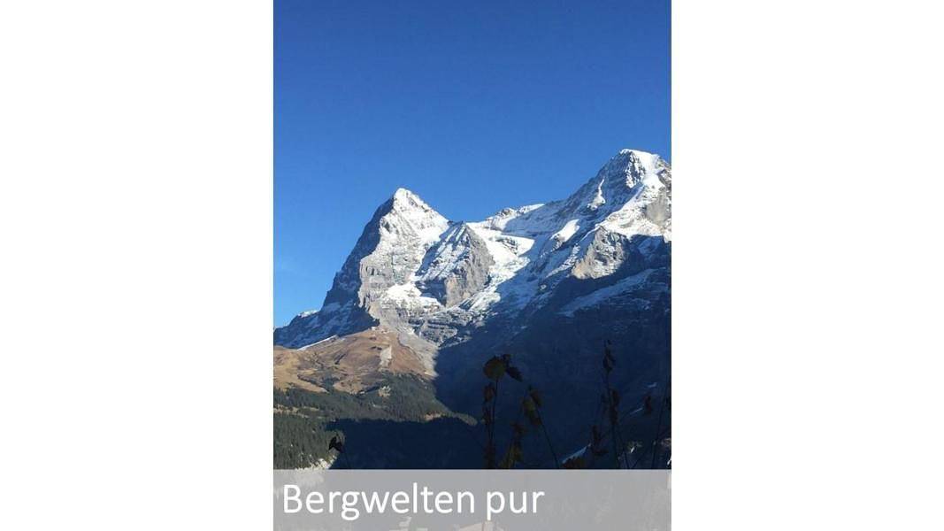 Ganze Ferienwohnung, Panorama 2 Bett Wohnung in Lauterbrunnen, Grindelwald und Umgebung