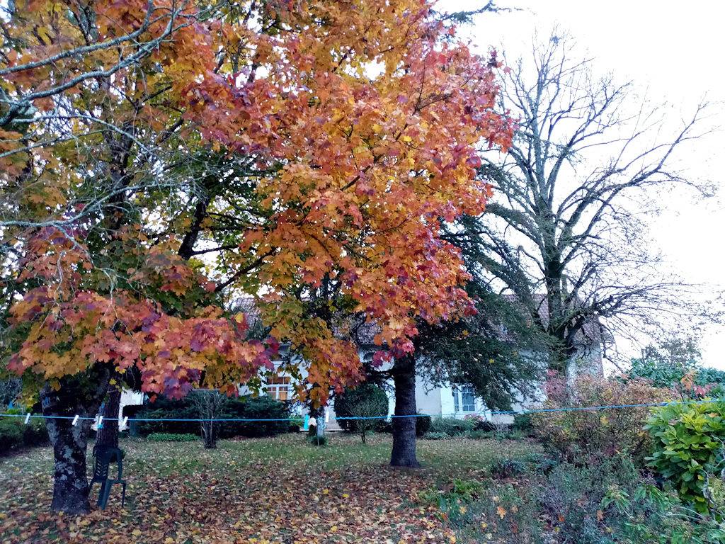 Chambre avec vue sur le jardin 2.5km du centre de Douville in Montagnac-la-Crempse, Périgord Pourpre