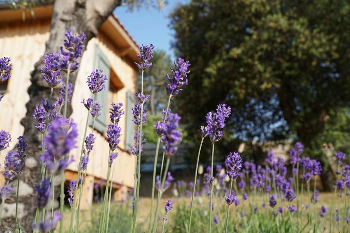 Location de vacances pour 2 personnes, avec jardin à Soulac-sur-Mer