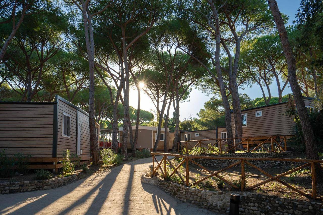 Camping Il Capannino Glamping Village in Marina di Bibbona, Bibbona
