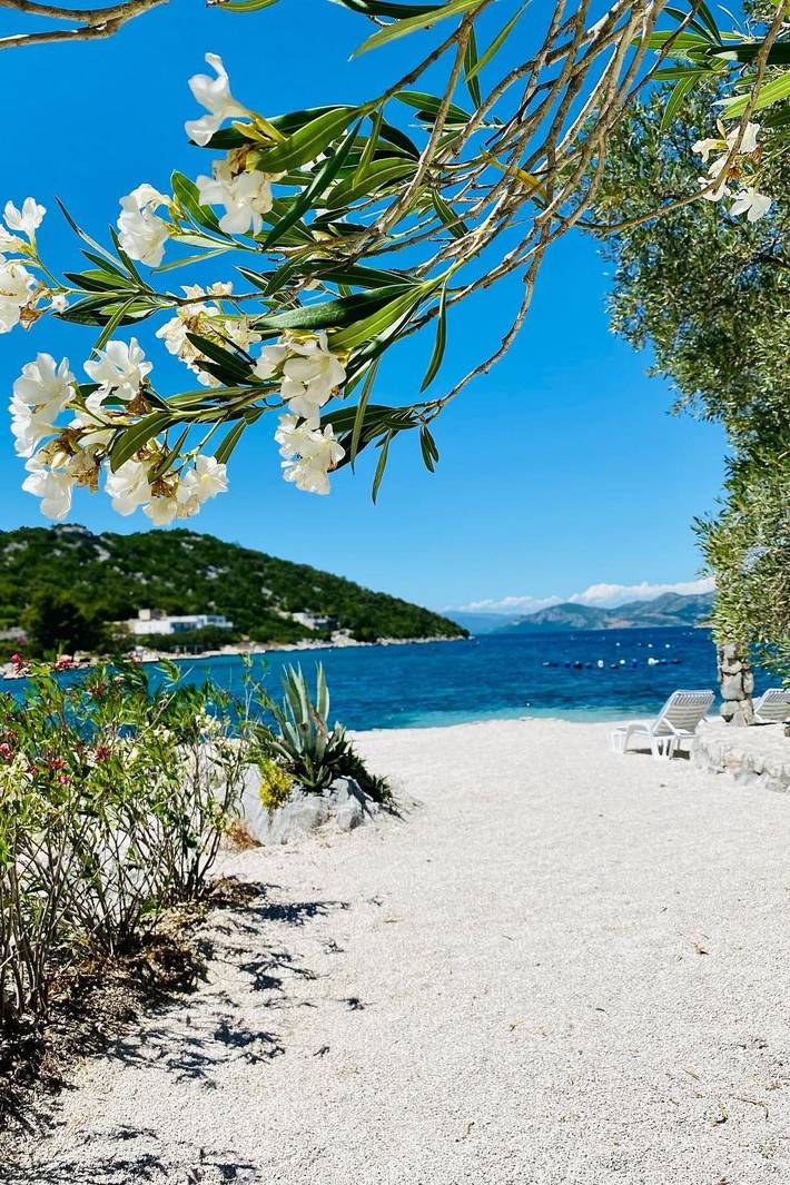 Anwesen mit Blick auf das Wasser in Dubrovnik-Neretva