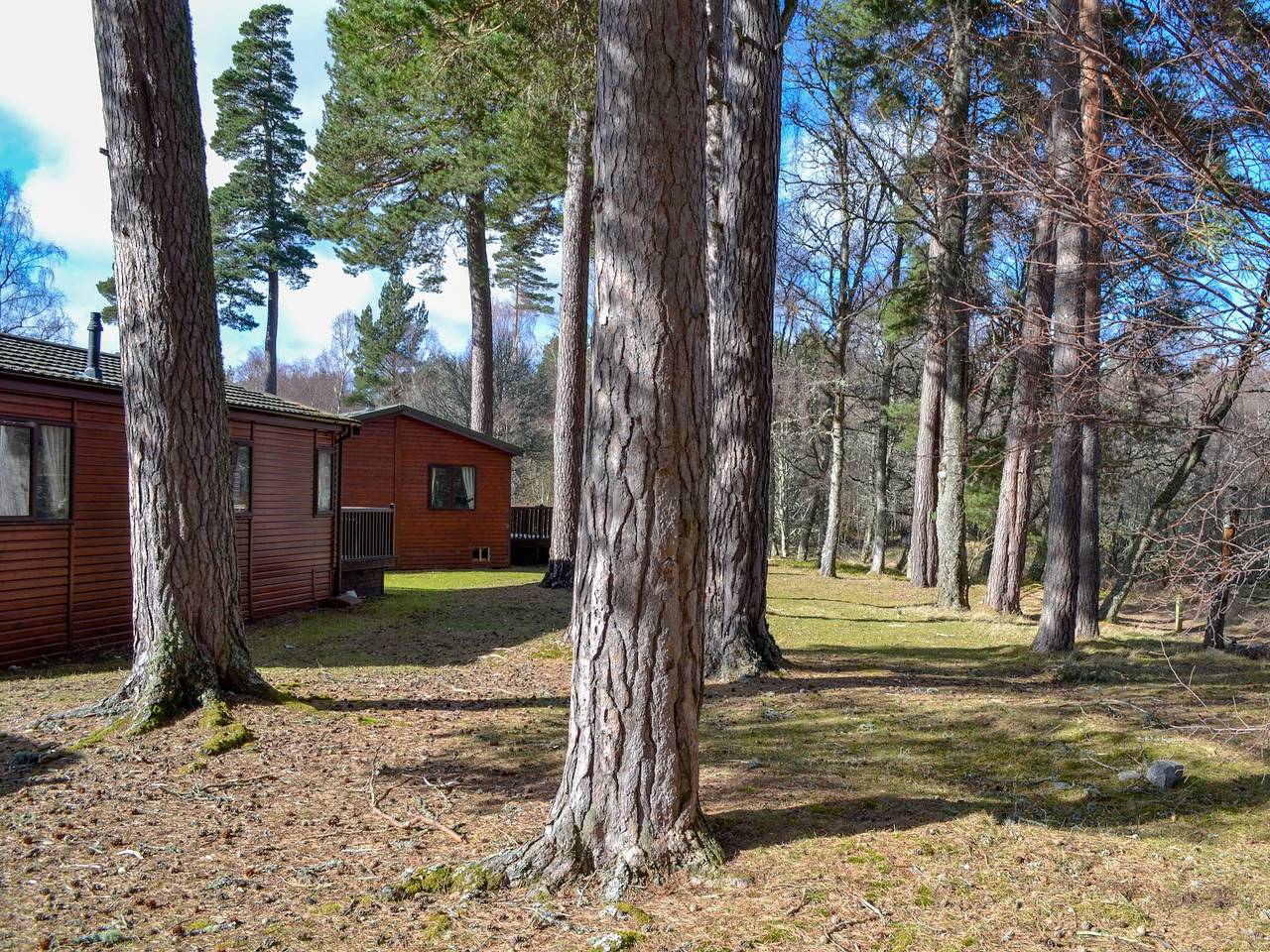 Lodge B- Uk33087 in Aboyne, Cairngorms National Park