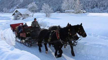 Ferienwohnung für 6 Personen in Sankt Martin bei Lofer