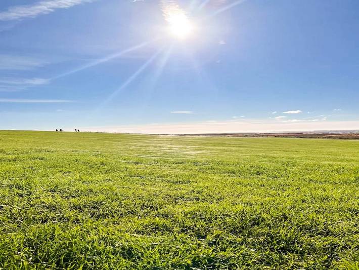 Ferienhaus für 16 Personen, mit Pool in Højer - 4