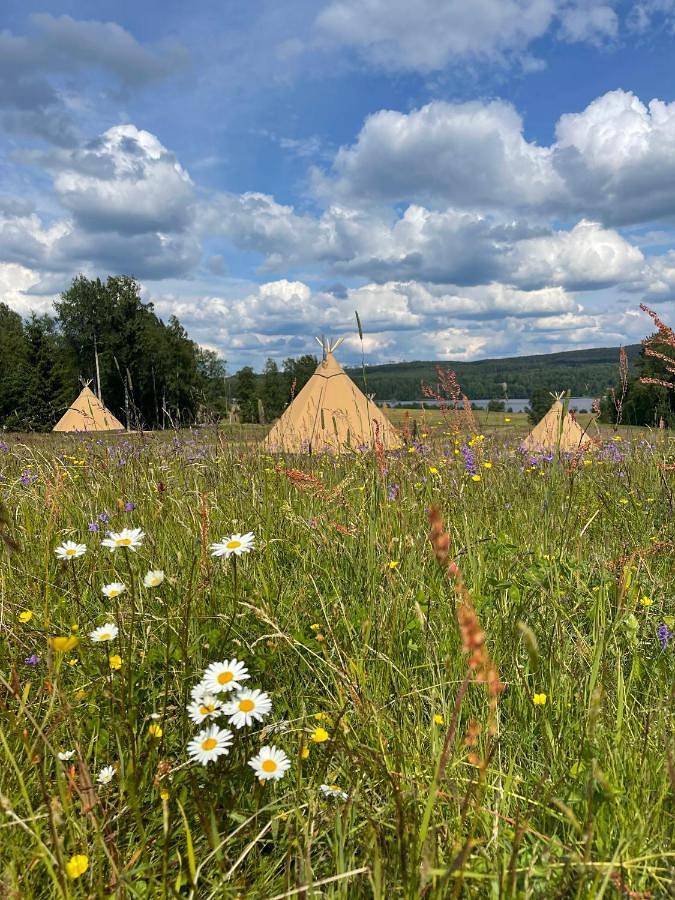 Camping für 4 Personen, mit Garten und Whirlpool sowie Sauna in Värmland
