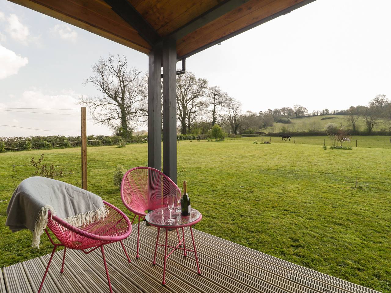 Bluebell in West Pennard, Somerset