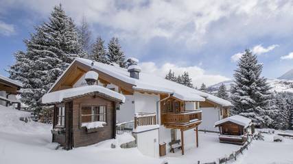 Chalet für 8 Personen, mit Terrasse und Sauna sowie Garten in Königsleiten