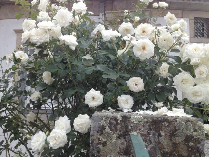 Location de vacances pour 5 personnes, avec terrasse et vue, animaux acceptés dans Capinha - 4