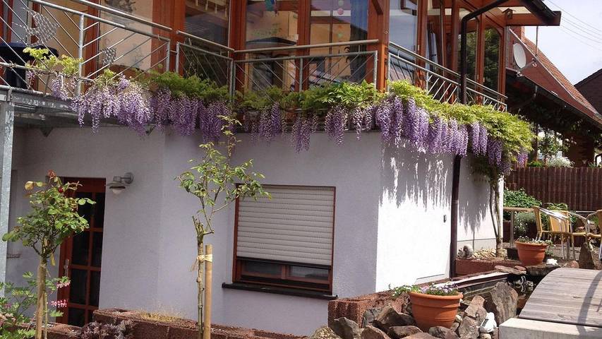 Hütte für 4 Personen, mit Terrasse, mit Haustier im Saarland - 4