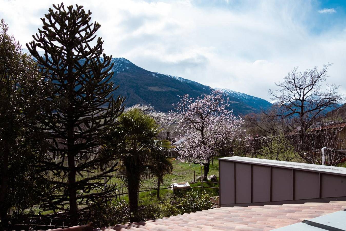 Ganze Wohnung, Apartment „Jack Daniels“ mit Bergblick, Gemeinschaftspool und Wlan in Naturns, Texelgruppe