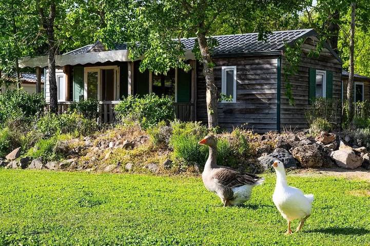 Mobil home pour 2 personnes dans Sévérac-d'Aveyron - 4