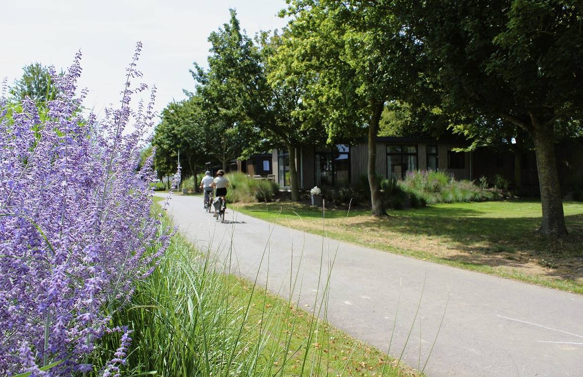 Maaspark De Lithse Ham — Rivierlodge 4p. in Noord-Brabant