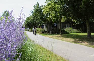 Agriturismo voor 4 Personen in Noord-Brabant, Nederland, Afbeelding 3