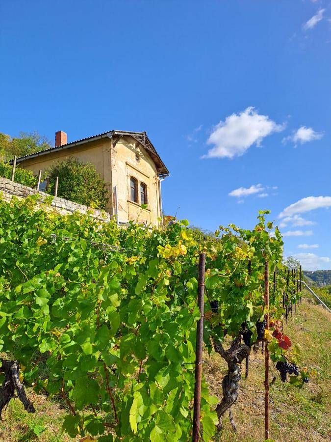 Ferienwohnung für 5 Personen, mit Terrasse und Garten sowie Ausblick in Freyburg (Unstrut)