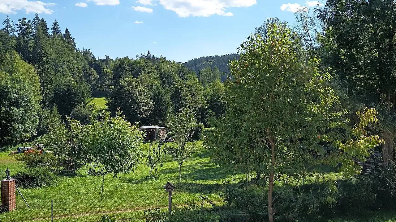 Ganze Ferienwohnung, Ferienwohnung für 4 Personen (65 m²) in Eibenstock in Eibenstock, Erzgebirge