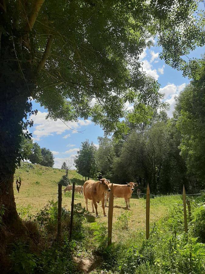 Gîte pour 4 personnes, avec Jardin et Vue à Le Busseau - 4