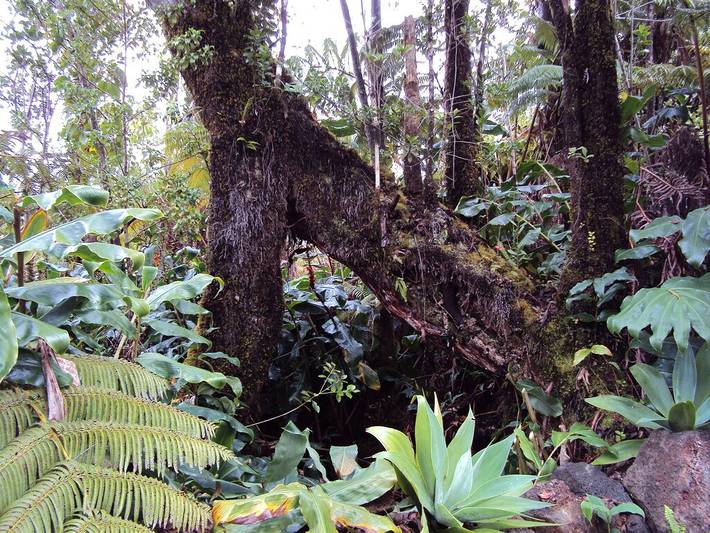 Ferienhaus für 6 Personen, mit Balkon/Terrasse und Whirlpool - 1
