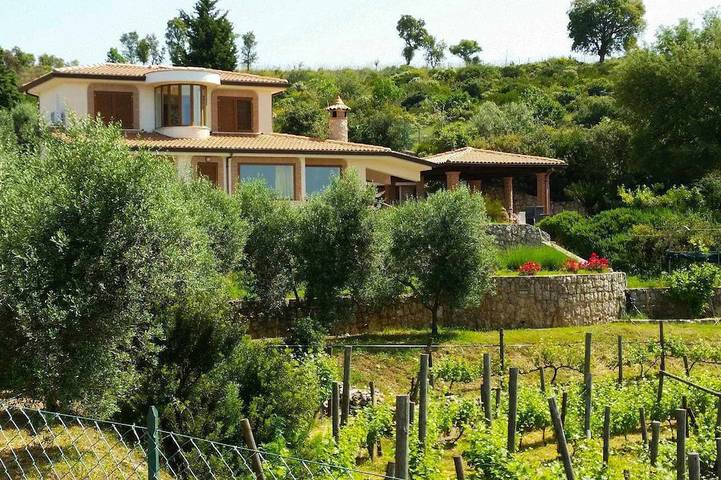 Ferienhaus für 8 Personen, mit Garten und Pool, mit Haustier - 1