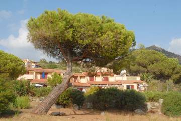 Hôtel pour 4 personnes, avec vue et terrasse dans Olmeto Plage