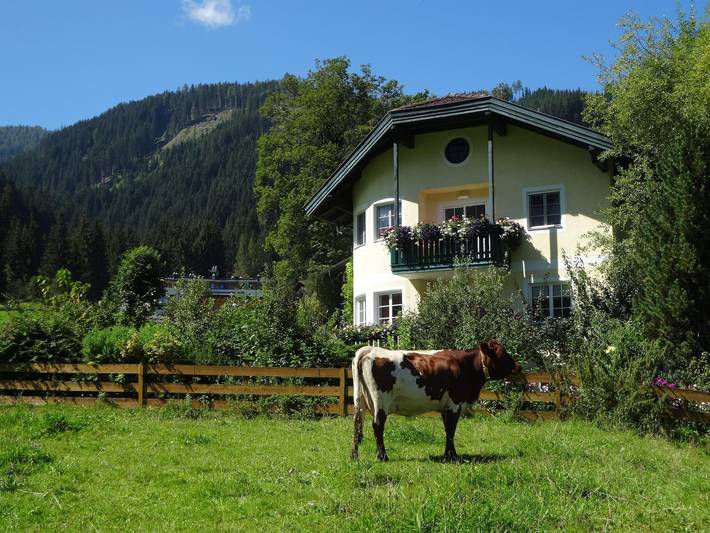 Ferienwohnung für 2 Personen, mit Garten und Balkon, kinderfreundlich - 1