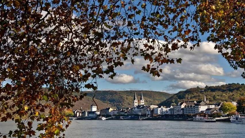 Ferienhaus für 4 Personen, mit Garten in Boppard - 3