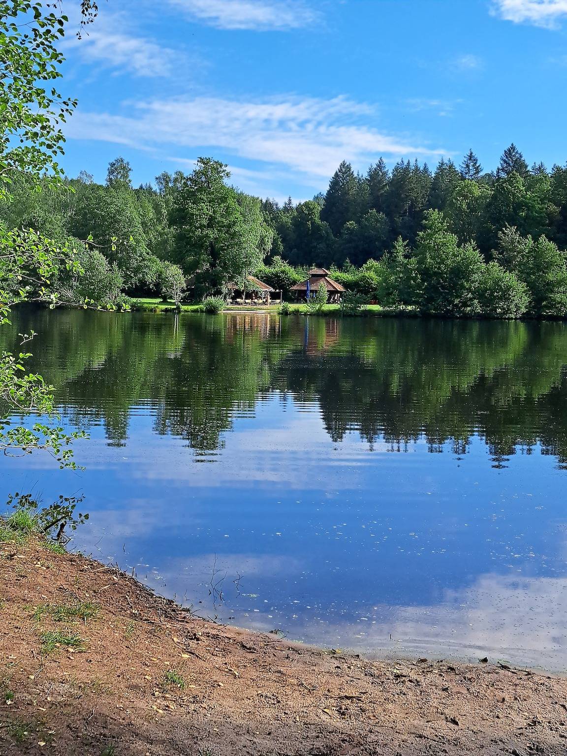 Ganze Ferienwohnung, Wasgau urlaubserlebnis Fels- und Seenland in Ludwigswinkel, Landkreis Südwestpfalz