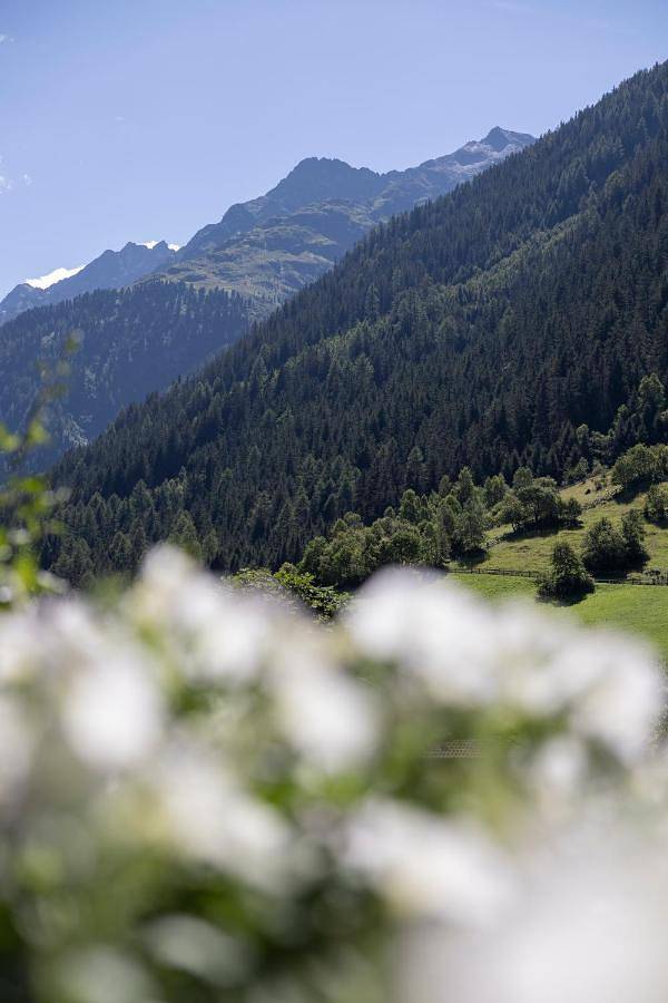 Cały apartament, Two-Bedroom Apartment in Kaunergrat, Kaunertal