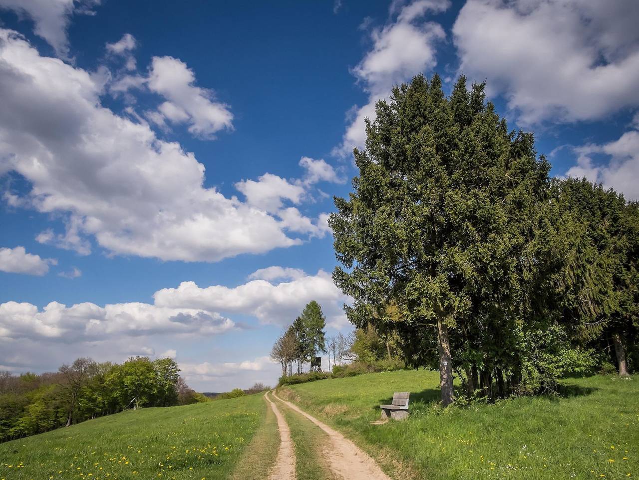 Ganze Ferienwohnung, Ferienwohnung Wiedliebe Deluxe - Ferienwohnung "Wiedliebe Deluxe" in Waldbreitbach, Rheinland-Pfalz