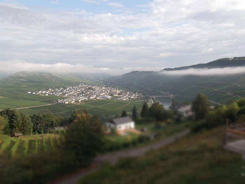 Ganze Ferienwohnung, Fewo 3  "Rotling" - Casa la Vino in Leiwen, Moseleifel