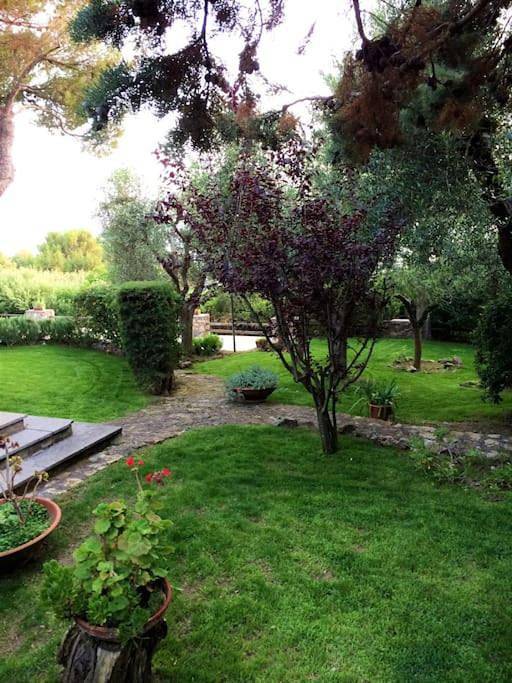 Villa in Ansedonia, Orbetello