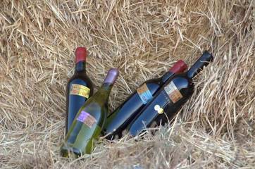 Holiday Home for 2 People in Shire of Campaspe, Victoria, Photo 4