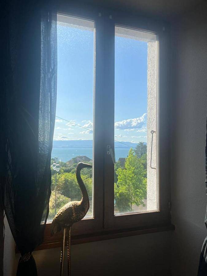 Appartement entier, Lake view apartment in Maxilly-sur-Léman, Région de Thonon-les-Bains