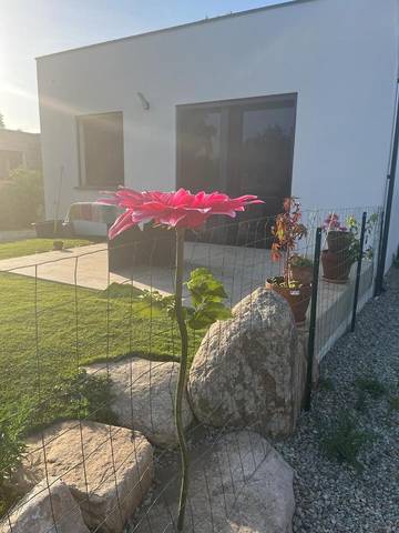 Location de vacances pour 4 personnes, avec jardin dans Morta