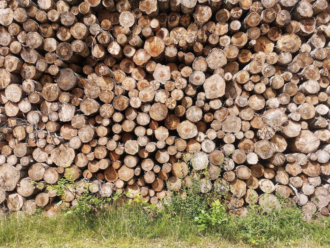 6 Personen Ferienhaus in Læsø-By Traum in Byrum, Læsø