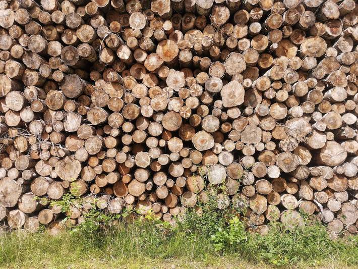 Ferienhaus für 6 Personen, mit Terrasse und Sauna, mit Haustier auf Læsø - 3