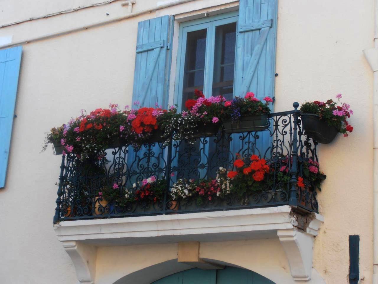 Twin Room with Private Bathroom in Ginestas, Côte méditerranéenne (France)
