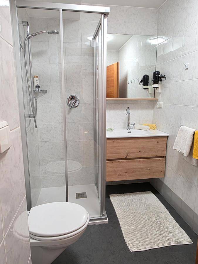 One-Bedroom Apartment (3 Adults) in Millan, Brixen