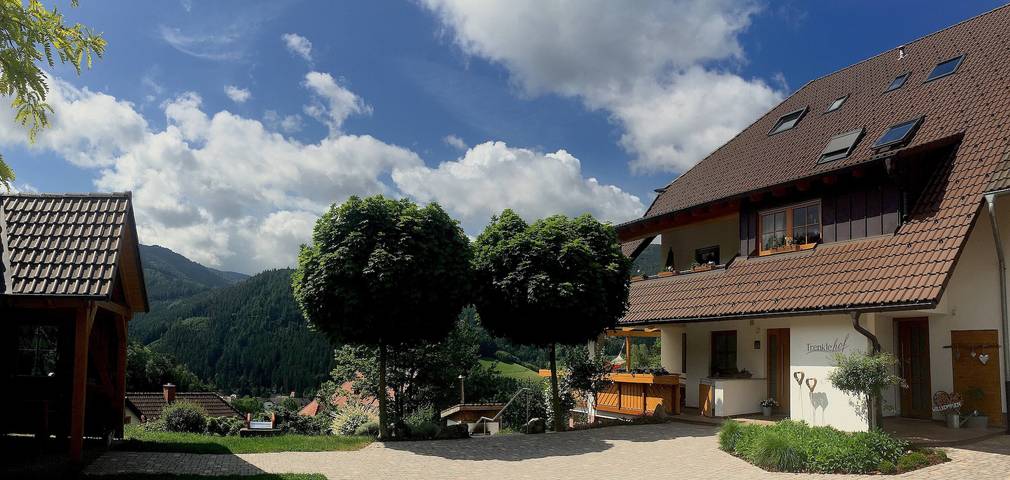 Ganze Wohnung, Ferienwohnung 'Morgensonne, 50 qm' mit gemeinsamer Terrasse, gemeinsamem Garten und WLAN in Simonswald, Südschwarzwald