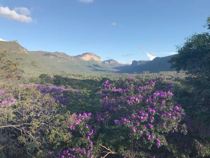 Hostal para 3 personas, con jardín - 1