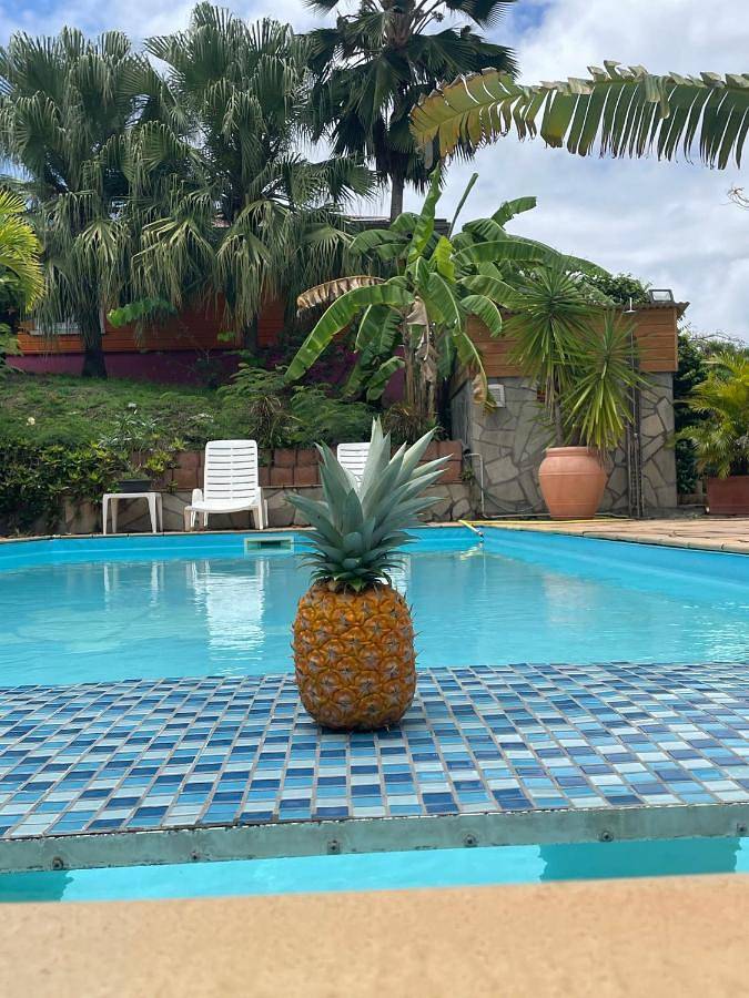 Gîte pour 2 personnes, avec piscine ainsi que jardin et vue à Rivière-Salée - 3