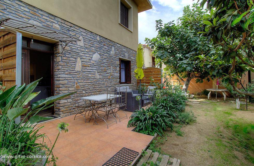 Agapanthe in Santa-Reparata-di-Balagna, Région de Calvi