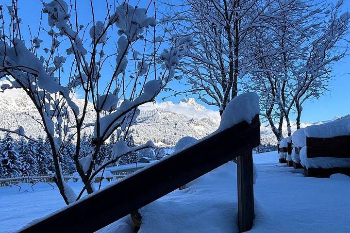 Blockhütte für 22 Personen, mit Garten und Terrasse in Tannheimer Tal - 4