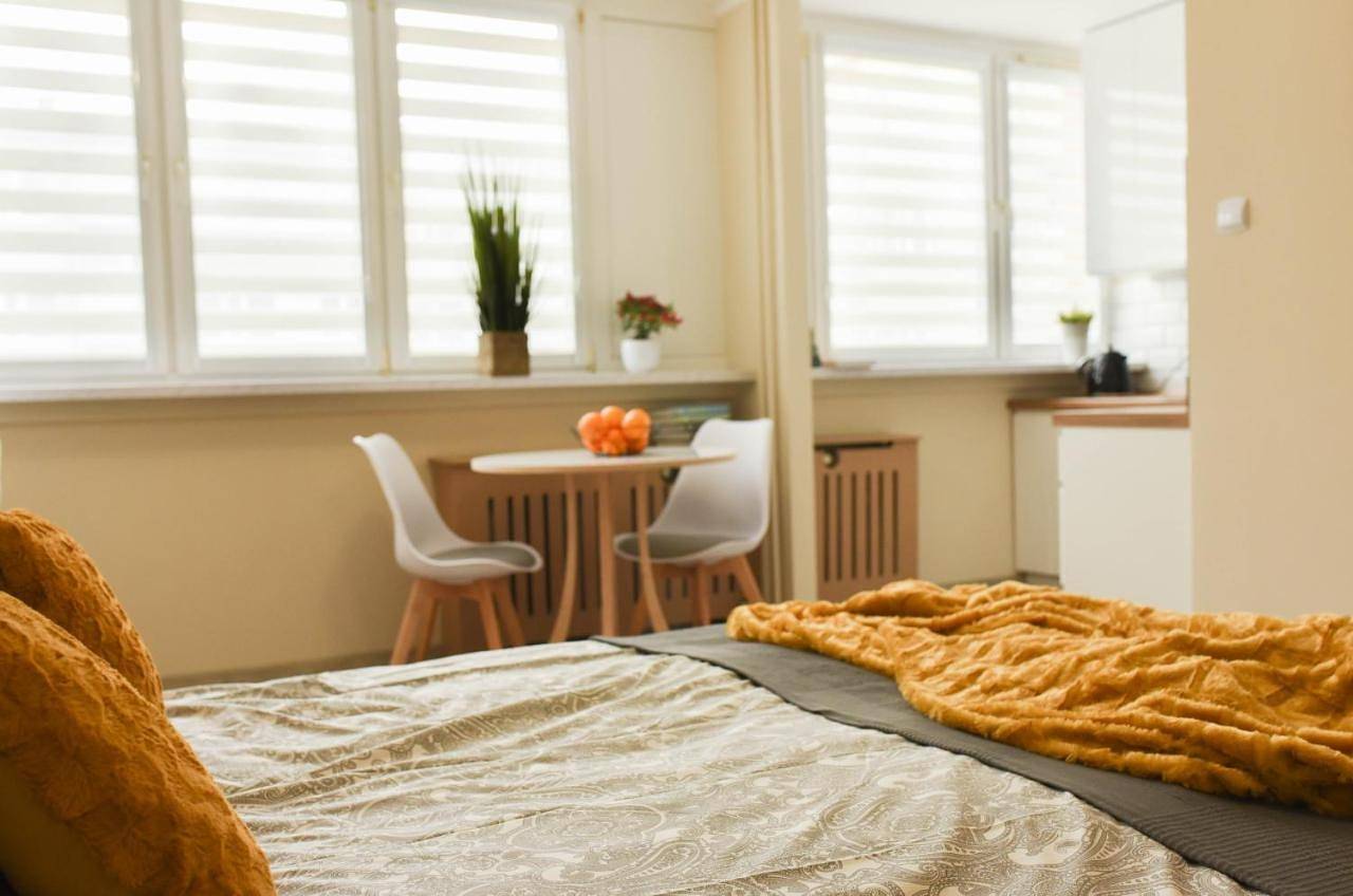 Cały apartament, One-Bedroom Apartment in Dzierżoniów, Sudety (Polska)