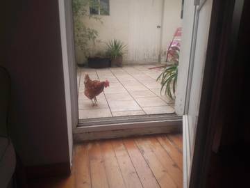 Chambre d’hôte pour 3 personnes, avec jardin et terrasse, animaux acceptés à Troo