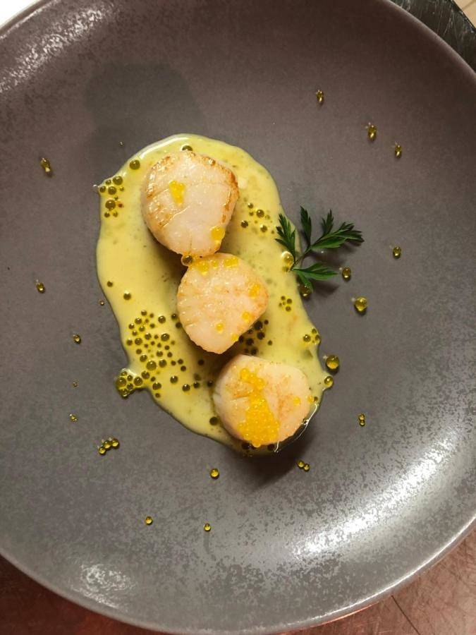 Hôtel pour 4 personnes, avec jardin ainsi que piscine et terrasse, animaux acceptés à Saint-Pierre-Lafeuille - 3