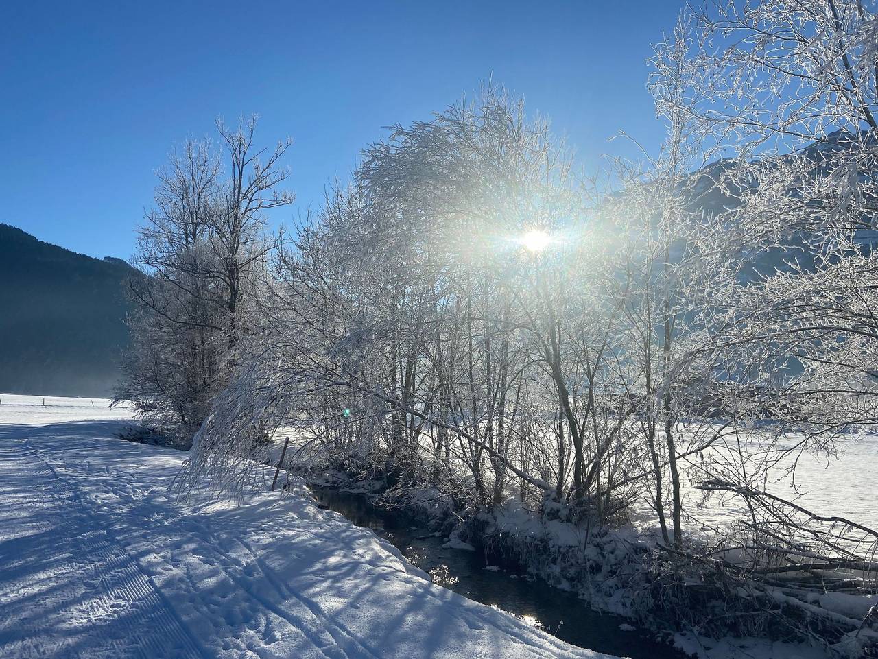 Ganze Ferienwohnung, Haus Sonne & Spa - Ferienwohnung Sonnenaufgang in Bizau, Bregenzerwald