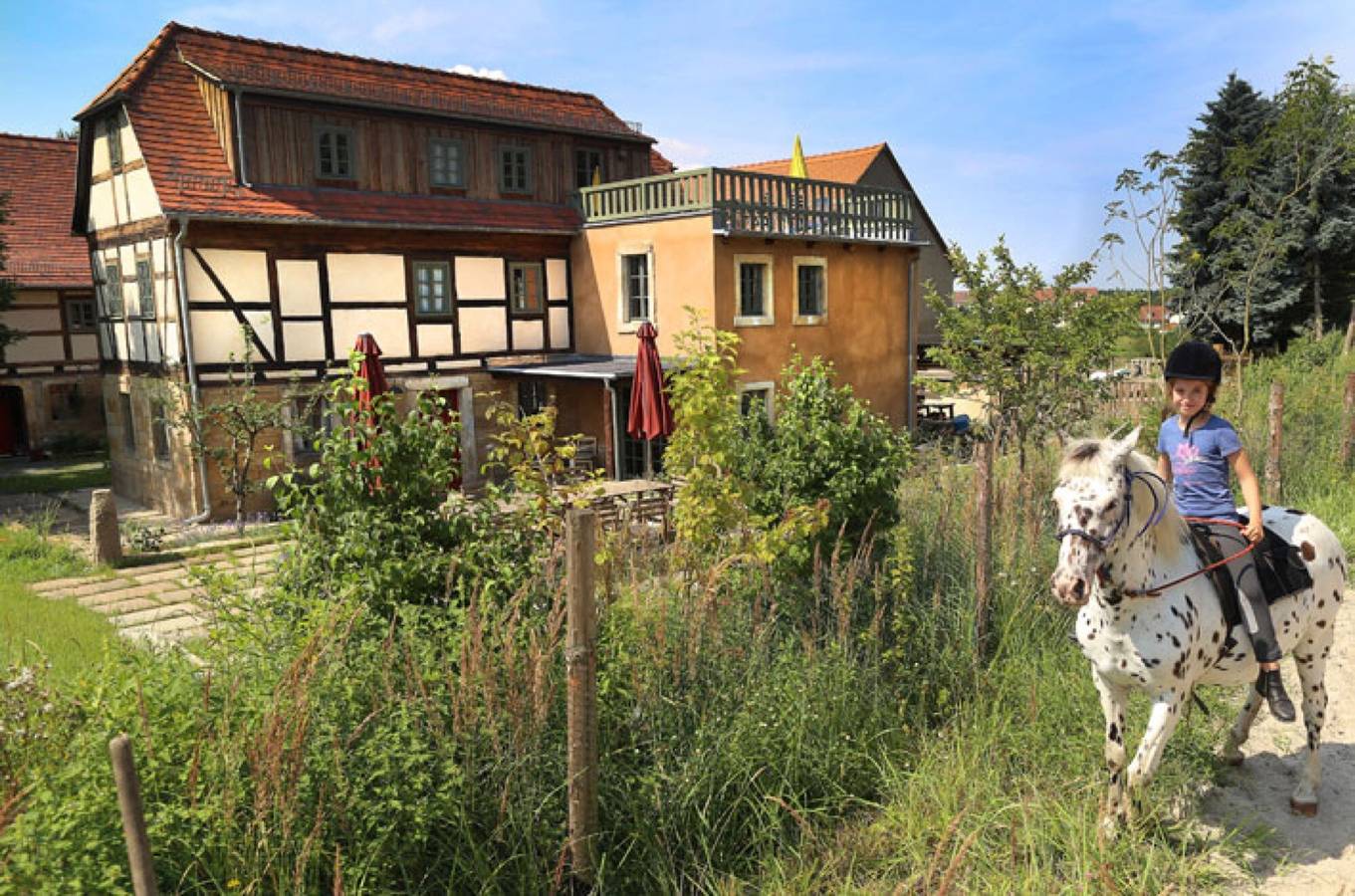 Ferienhaus 'Ferienhaus Lindenhof Graupa' mit Gemeinschaftsterrasse, privatem Garten und Wlan in Graupa, Pirna