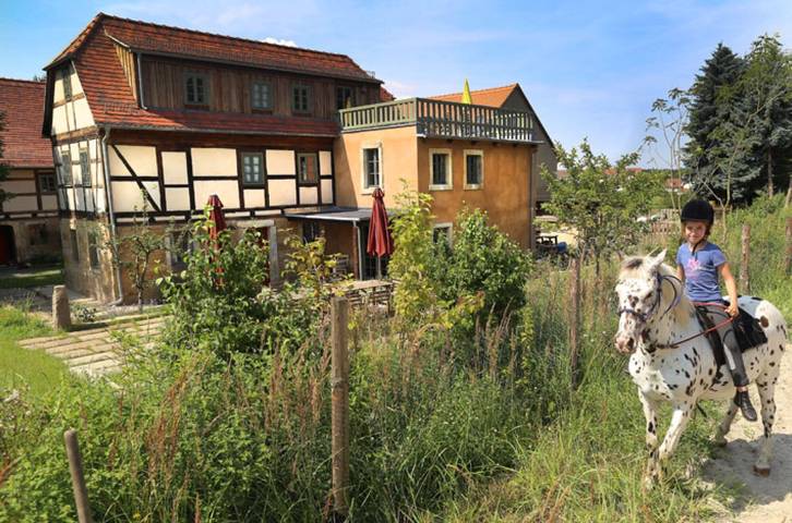 Ferienhaus für 12 Personen, mit Garten in Sächsische Schweiz - 3