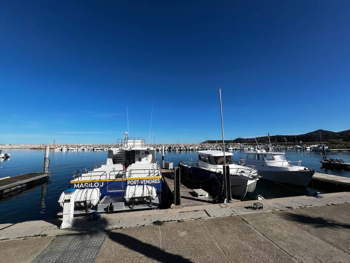 Gîte pour 4 personnes dans Port-Argelès - 2